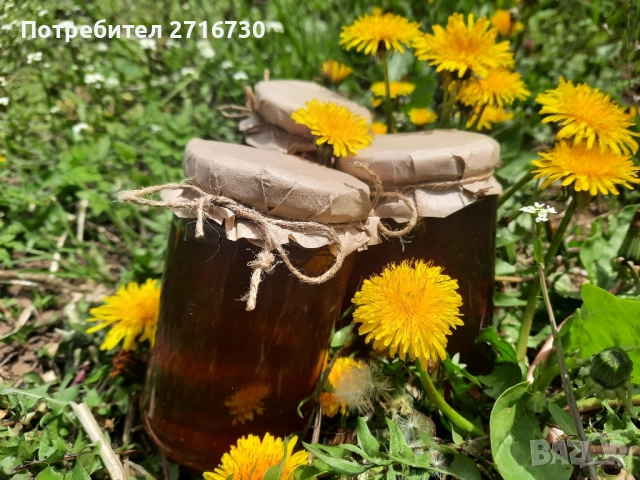 Домашен мед от глухарчета - ценен източник на здраве