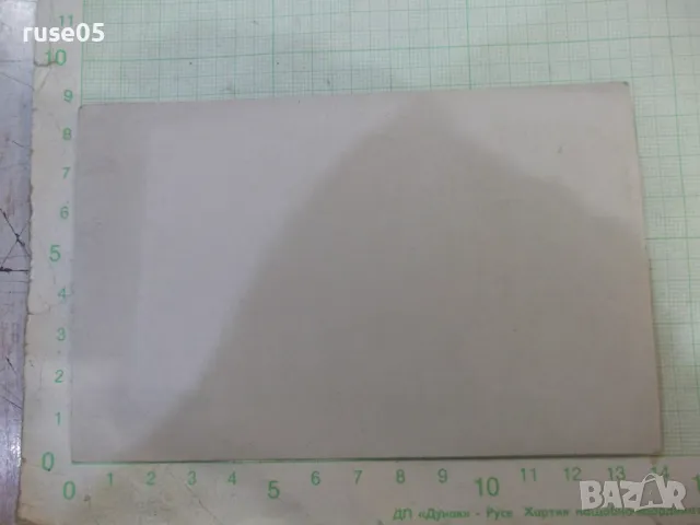 Снимка стара пред дърветата, снимка 2 - Колекции - 47905934