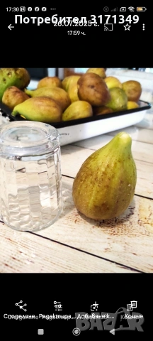 Смокини, авокадо фурми 