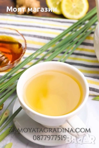 Лимонена трева за чай, настинка и т.н., снимка 9 - Градински цветя и растения - 53650574