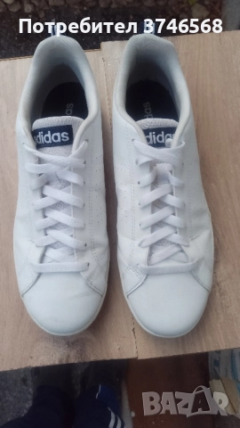 маратонки Adidas Neo Skate