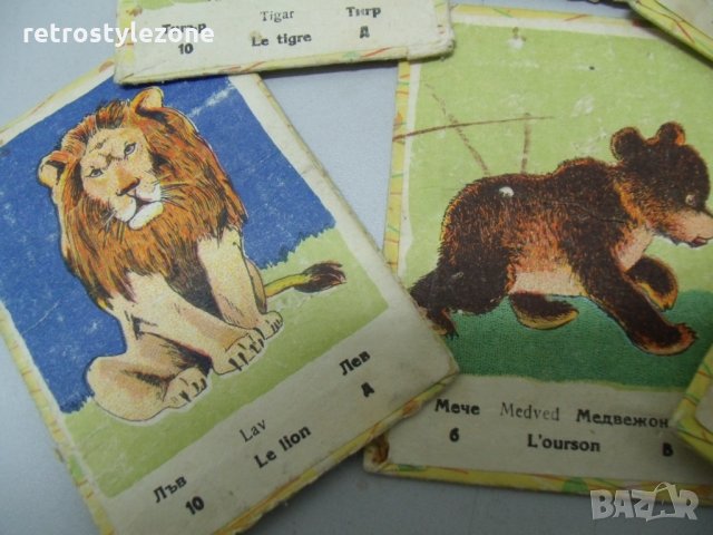 № 5978 стари детски карти / картинки   - картонени карти с картини на животни   - 19 броя   - размер, снимка 2 - Други ценни предмети - 35832619