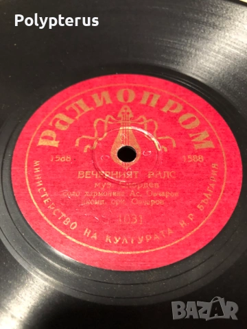 Стара българска шеллакова плоча, снимка 2 - Грамофонни плочи - 53532782