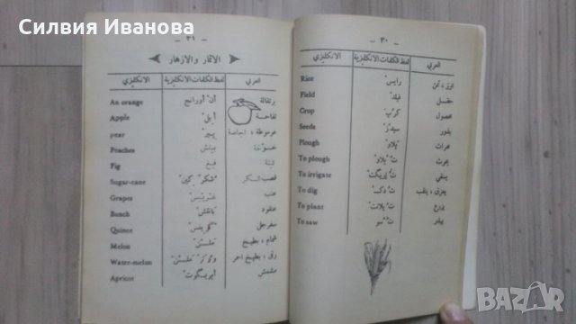 Речник арабско-английски , снимка 2 - Чуждоезиково обучение, речници - 34633197