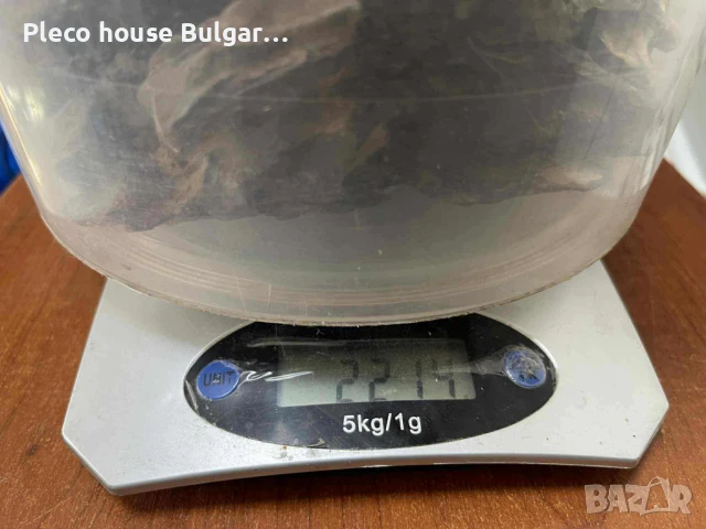 Драконови камъни за аквариум, снимка 4 - Оборудване за аквариуми - 51060940