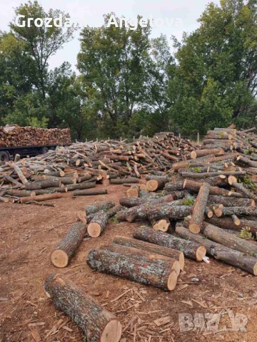 Дърва за огрев , снимка 6 - Дърва за огрев - 31555793