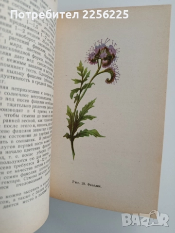 Албум с илюстрации на медоносни растения, снимка 9 - Специализирана литература - 52471052