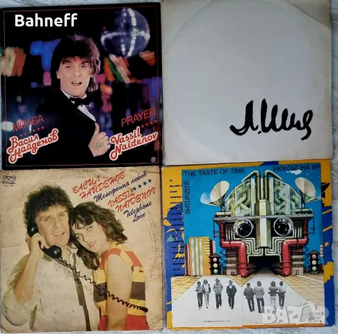 Балкантон плочи Васил Найденов, Щурците , снимка 1