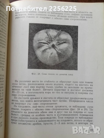 Ръководство по растителна защита за зеленчукопроизводителя, снимка 5 - Специализирана литература - 50611780