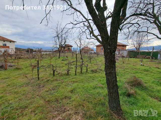 Самостоятелна къща с двор и гараж в с.Михнево , снимка 7 - Къщи - 44294684