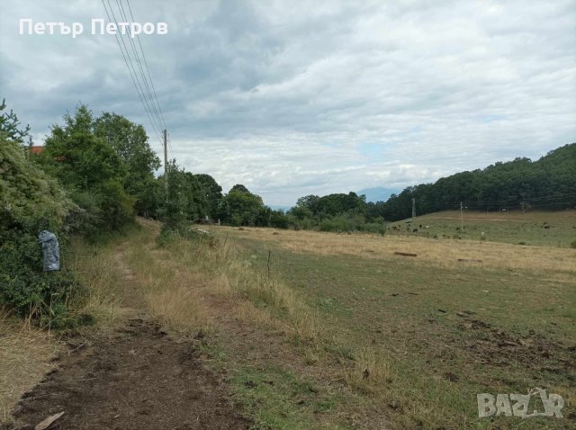 Вилa + земя 1000 KB. M., снимка 14 - Вили - 41857558