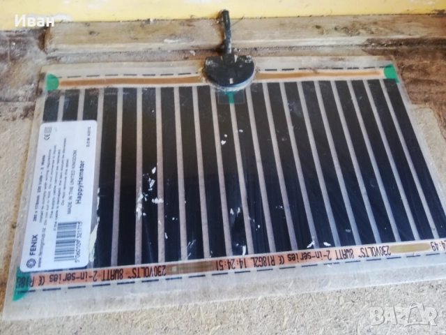 Змия смок Бул снейк Pituophis Catenifer, снимка 5 - Змии - 51658361