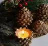 Молд буркан кашпа шишарка, снимка 5