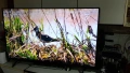 LG UHD AlThinQ 55UR78, снимка 4