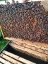 Пчелни отводки, снимка 3