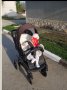 Продава се бебешка количка Тутис уно 2в1,  ЗАЕДНО  с двата коша , снимка 11