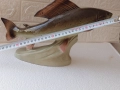 Прекрасна огромна порцеланова фигура (риба)на фирма Роял Дукс(Royal Dux), снимка 13