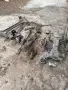 Части за фият пунто 2004 г бензин, снимка 2