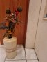 Ваза за сухи цветя и битова кана за вино и декорация в зелено и златно , снимка 1