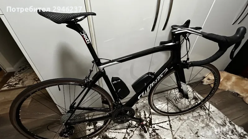 Wilier Gtr Campagnolo record, снимка 1