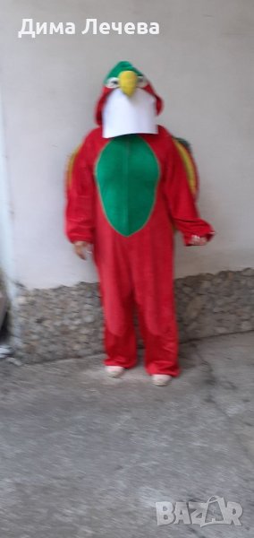 Карнавален костюм на папагал, снимка 1