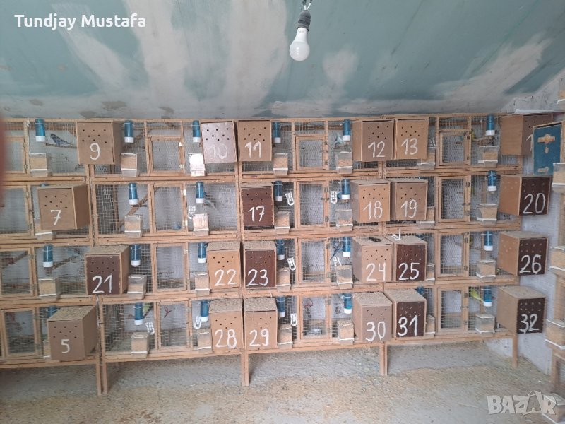  Обрудване за разваждане на папагали, снимка 1