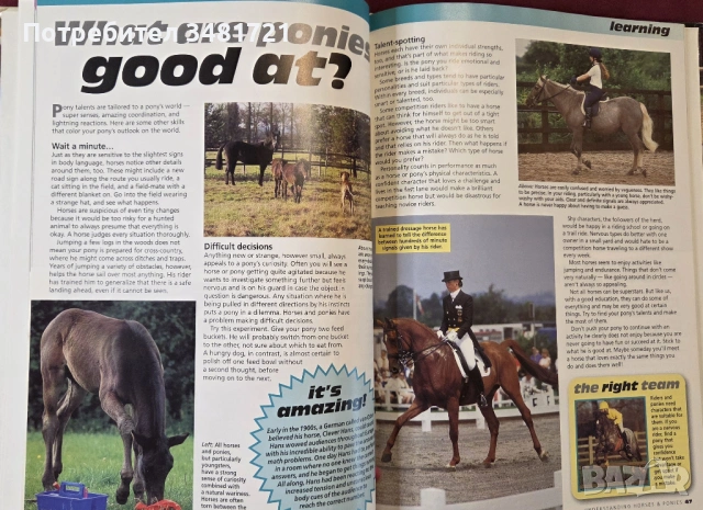 Илюстриран справочник - коне и понита / The Complete Guides to Horses and Ponies, снимка 8 - Енциклопедии, справочници - 53748600