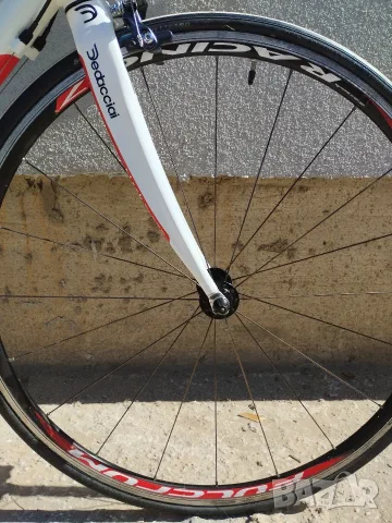 Отличен шосеен велосипед Cube Peloton / Shimano 105 / Fulcrum / Карбонова вилка/ Рамка 56 см., снимка 9 - Велосипеди - 56125634