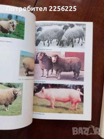 ЛОТ животновъдство, снимка 2 - Специализирана литература - 50732174