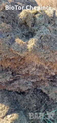 Компост от Прегоряла Трева-Рай Грас 50л чували, снимка 4 - Тор и почвени смеси - 47847251