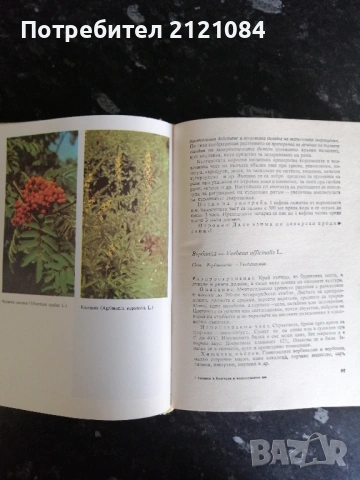Билките в България и използването им , снимка 6 - Българска литература - 53220247