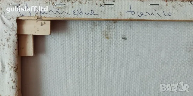 Картина, натюрморт, худ. Данаил Цонев, 2023 г., снимка 2 - Картини - 47452724