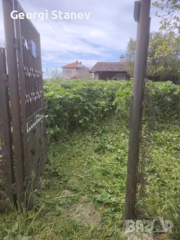 Фрезоване, косене, рязане на клони и др., снимка 6 - Други услуги - 45001997
