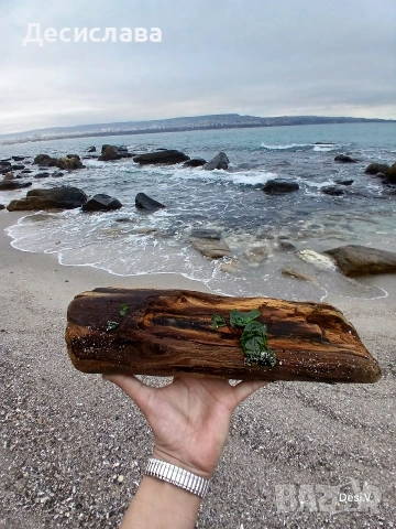 Аквариум , снимка 11 - Оборудване за аквариуми - 53861136