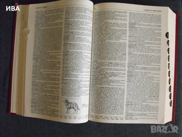 WEBSTER’S II.  New Riverside University Dictionary., снимка 3 - Чуждоезиково обучение, речници - 55774604
