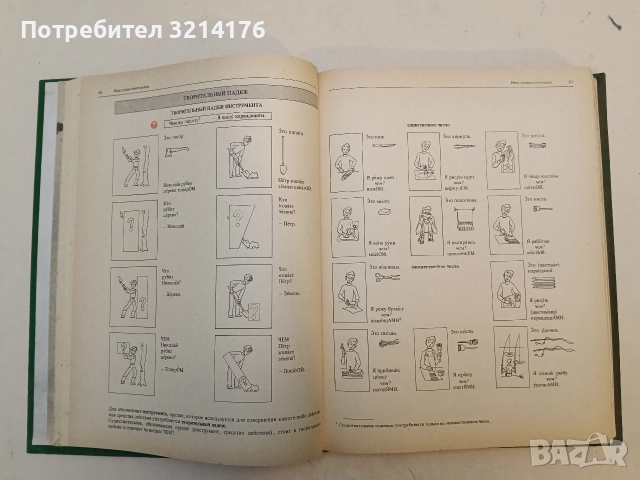 Грамматика русского языка в иллюстрациях - К. И. Пехливанова, М. Н. Лебедева, снимка 3 - Детски книжки - 52575484