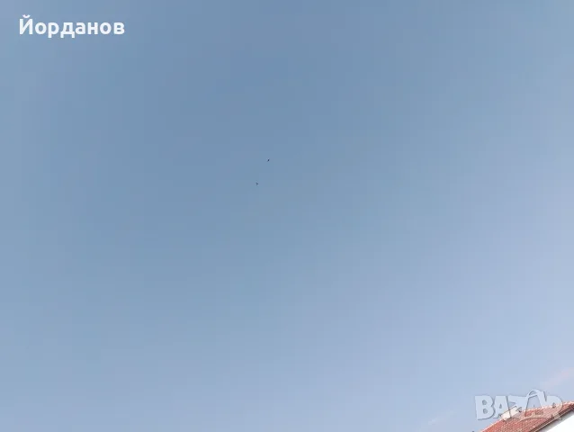 Продавам пазарджишки гълъби, снимка 10 - Гълъби - 54780576