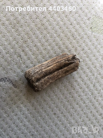 Фосил / вкаменен зъб на степен бизон, снимка 3 - Други ценни предмети - 51509734