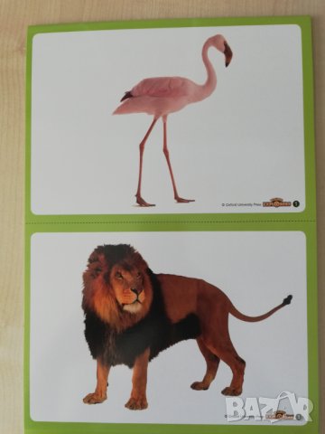 Young Explorers 1 Teacher's Resource pack, снимка 6 - Чуждоезиково обучение, речници - 41538297