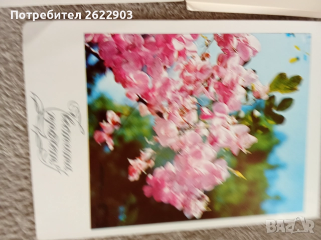 Руски поздравителни картички, снимка 10 - Колекции - 52413902