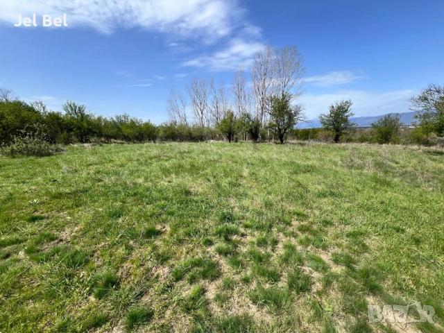 1.2 Дка Парцел / Дворно Място в Казанлък / Енина вилна зона "Старите Лозя" , снимка 6 - Парцели - 52512384