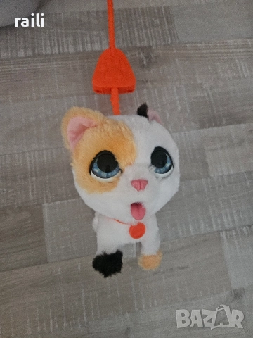 Коте, домашен любимец, снимка 2 - Други - 52628325