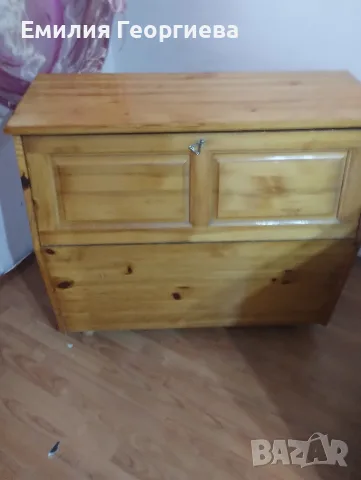 продават се скин и ракла , снимка 2 - Шкафове - 56250565