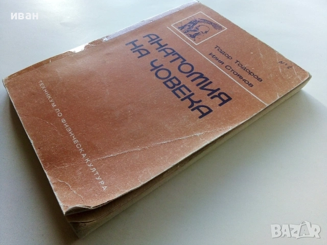 Анатомия на Човека-учебник записки - Т.Тодоров,И.Стоянов - 1979г., снимка 10 - Учебници, учебни тетрадки - 53834269