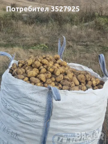 Продавам картофи, снимка 2 - Домашни продукти - 47756553