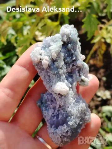 Гроздов ахат от Индонезия, много изгодно , снимка 2 - Колекции - 47363217