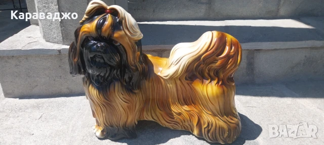 Италианска Фигура Ши Тцу