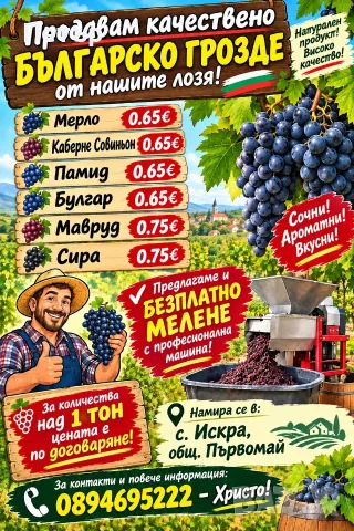 Продавам грозде за вино и ракия 