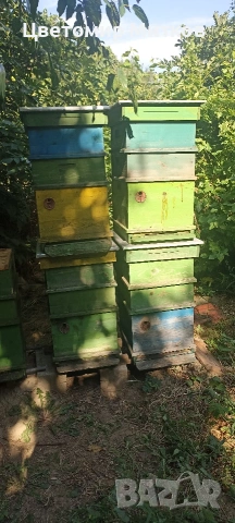 Кошери ДБ, снимка 3 - За пчели - 53008419