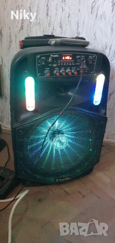 Караоке колона 12 инча 350 вата, снимка 5 - Караоке - 42274362